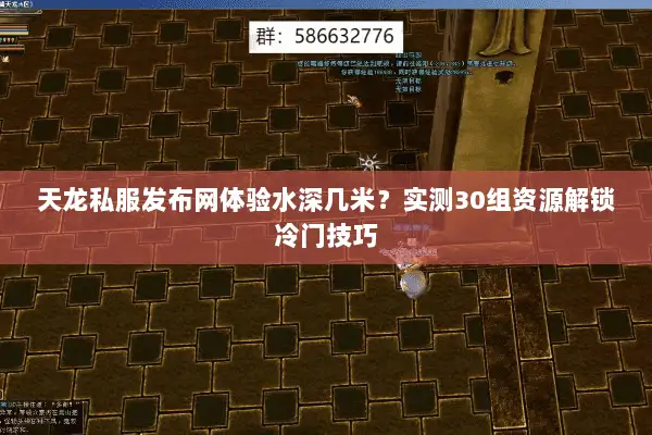 天龙私服发布网体验水深几米？实测30组资源解锁冷门技巧
