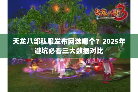 天龙八部私服发布网选哪个？2025年避坑必看三大数据对比