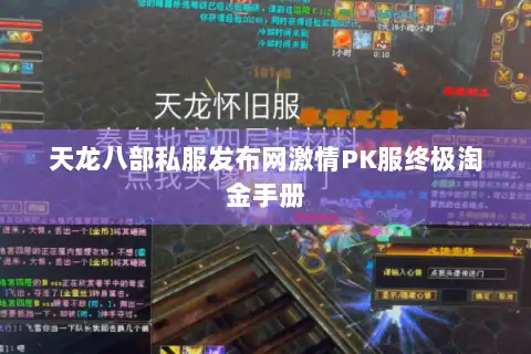 天龙八部私服发布网激情PK服终极淘金手册