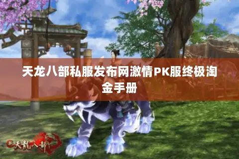 天龙八部私服发布网激情PK服终极淘金手册