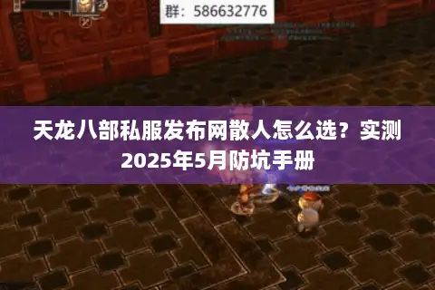 天龙八部私服发布网散人怎么选？实测2025年5月防坑手册