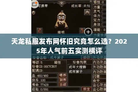 天龙私服发布网怀旧究竟怎么选？2025年人气前五实测横评