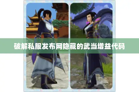 破解私服发布网隐藏的武当增益代码 破解私服发布网隐藏的武当增益代码