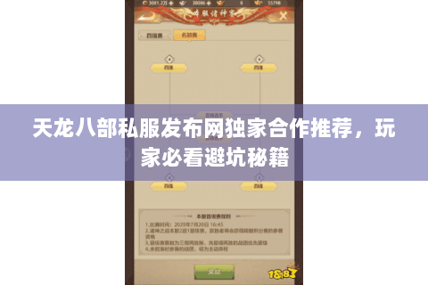 天龙八部私服发布网独家合作推荐，玩家必看避坑秘籍