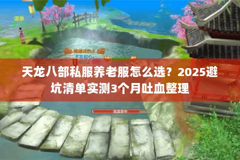 天龙八部私服养老服怎么选？2025避坑清单实测3个月吐血整理