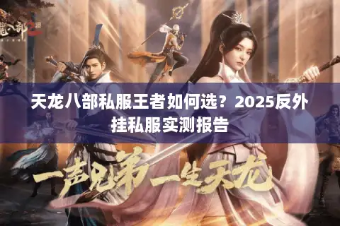 天龙八部私服王者如何选？2025反外挂私服实测报告