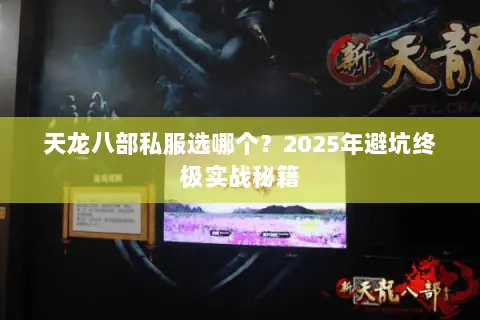 天龙八部私服选哪个？2025年避坑终极实战秘籍