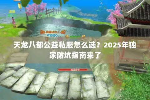 天龙八部公益私服怎么选？2025年独家防坑指南来了