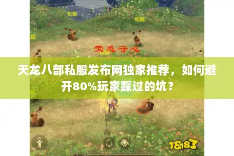 天龙八部私服发布网独家推荐，如何避开80%玩家踩过的坑？