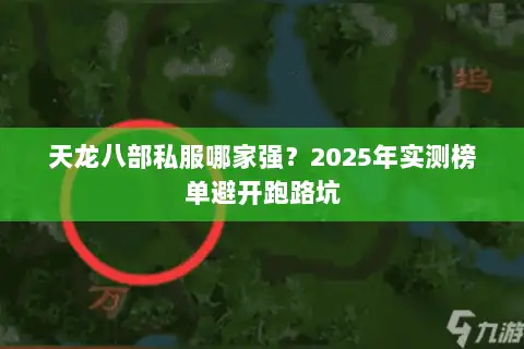 天龙八部私服哪家强?2025年实测榜单避开跑路坑 天龙八部私服哪家强?2025年实测榜单避开跑路坑
