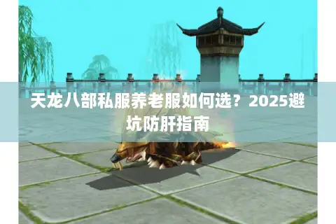 天龙八部私服养老服如何选?2025避坑防肝指南 天龙八部私服养老服如何选?2025避坑防肝指南