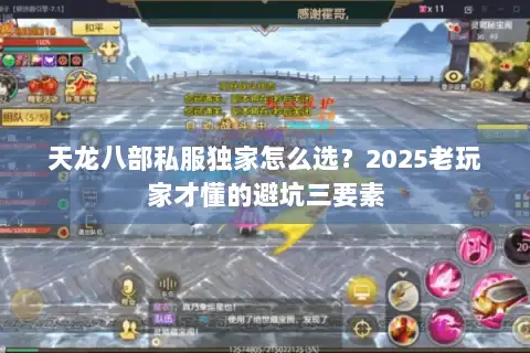 天龙八部私服独家怎么选？2025老玩家才懂的避坑三要素