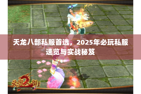 天龙八部私服首选，2025年必玩私服速览与实战秘笈