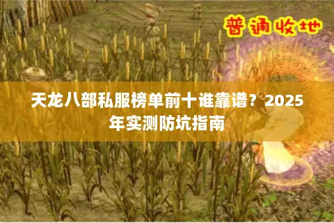 天龙八部私服榜单前十谁靠谱？2025年实测防坑指南