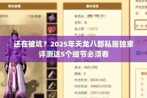还在被坑？2025年天龙八部私服独家评测这5个细节必须看