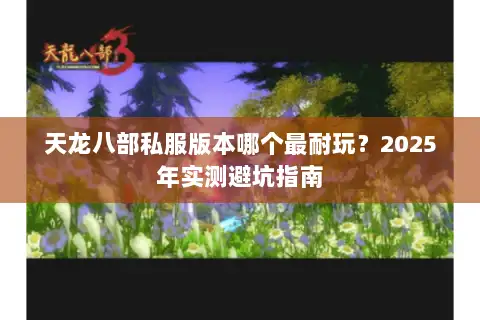 天龙八部私服版本哪个最耐玩？2025年实测避坑指南