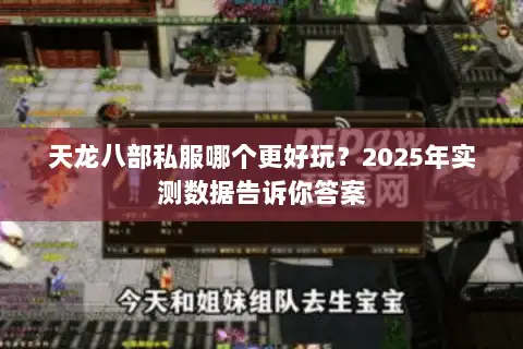 天龙八部私服哪个更好玩?2025年实测数据告诉你答案 天龙八部私服哪个更好玩?2025年实测数据告诉你答案