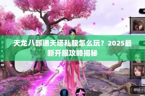 天龙八部通天塔私服怎么玩？2025最新开服攻略揭秘