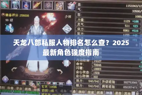天龙八部私服人物排名怎么查?2025最新角色强度指南 天龙八部私服人物排名怎么查?2025最新角色强度指南