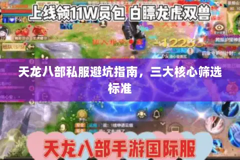 天龙八部私服避坑指南，三大核心筛选标准