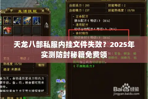 天龙八部私服内挂文件失效？2025年实测防封秘籍免费领