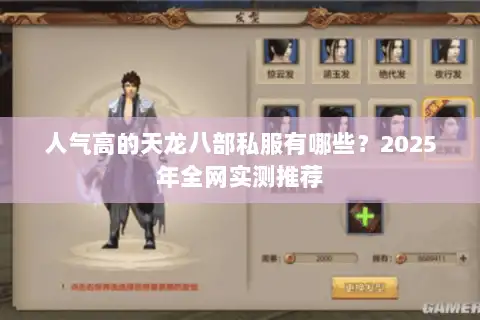 人气高的天龙八部私服有哪些?2025年全网实测推荐 人气高的天龙八部私服有哪些?2025年全网实测推荐