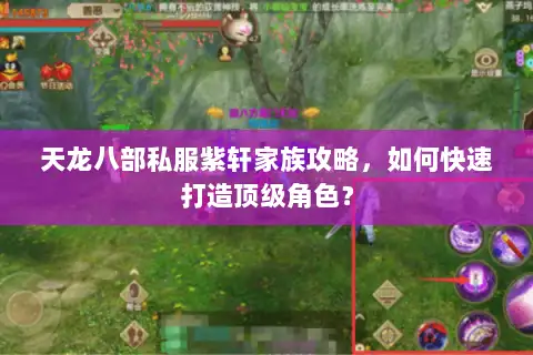 天龙八部私服紫轩家族攻略，如何快速打造顶级角色？