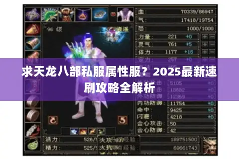 求天龙八部私服属性服?2025最新速刷攻略全解析 求天龙八部私服属性服?2025最新速刷攻略全解析