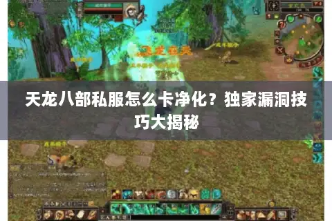 天龙八部私服怎么卡净化？独家漏洞技巧大揭秘