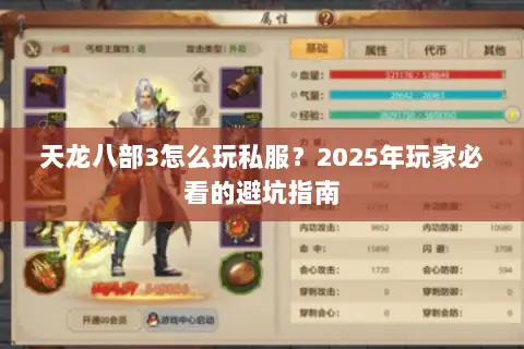 天龙八部3怎么玩私服？2025年玩家必看的避坑指南