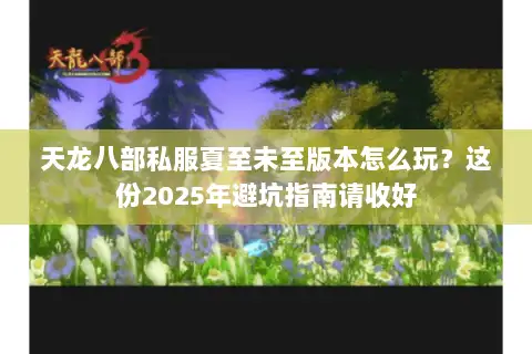 天龙八部私服夏至未至版本怎么玩？这份2025年避坑指南请收好