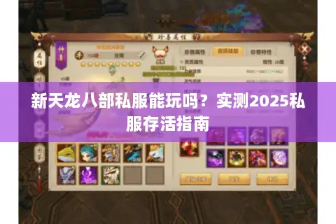 新天龙八部私服能玩吗？实测2025私服存活指南