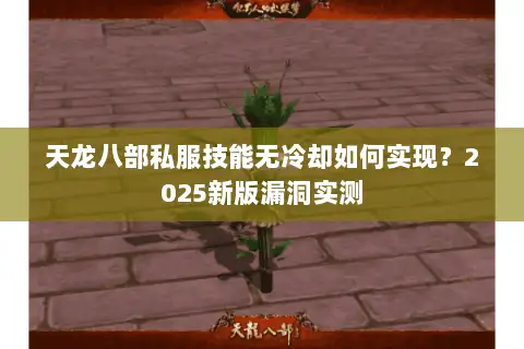 天龙八部私服技能无冷却如何实现？2025新版漏洞实测