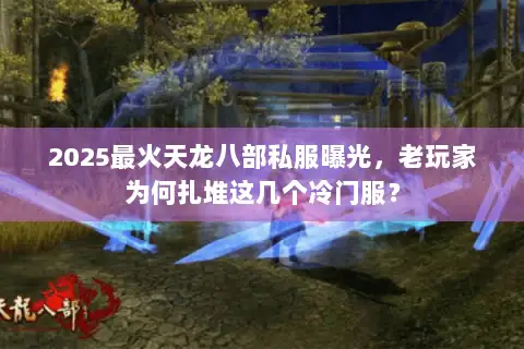 2025最火天龙八部私服曝光，老玩家为何扎堆这几个冷门服？