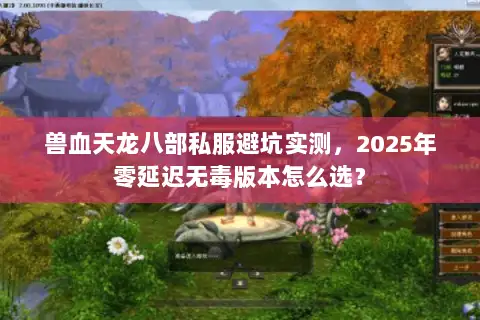兽血天龙八部私服避坑实测，2025年零延迟无毒版本怎么选？