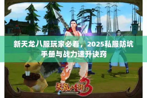 新天龙八服玩家必看，2025私服防坑手册与战力速升诀窍