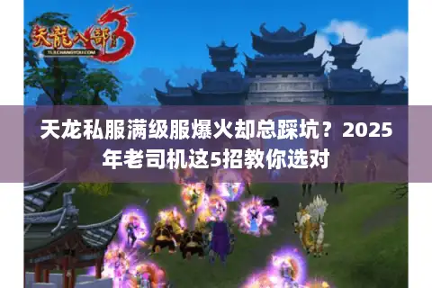 天龙私服满级服爆火却总踩坑？2025年老司机这5招教你选对
