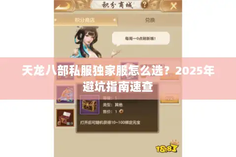 天龙八部私服独家服怎么选？2025年避坑指南速查