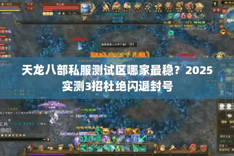 天龙八部私服测试区哪家最稳？2025实测3招杜绝闪退封号