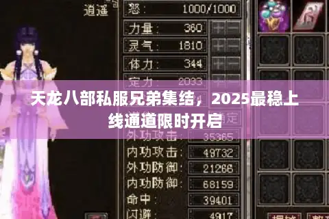 天龙八部私服兄弟集结，2025最稳上线通道限时开启