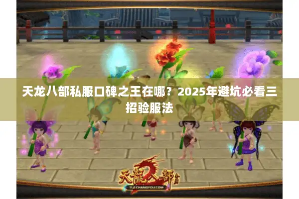 天龙八部私服口碑之王在哪？2025年避坑必看三招验服法