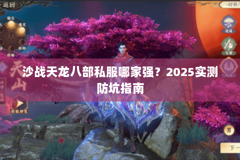沙战天龙八部私服哪家强？2025实测防坑指南