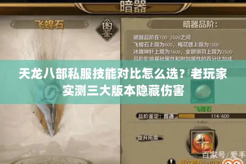 天龙八部私服技能对比怎么选？老玩家实测三大版本隐藏伤害