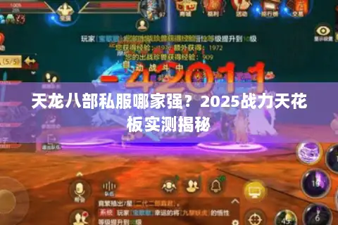天龙八部私服哪家强？2025战力天花板实测揭秘