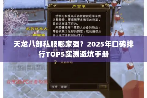 天龙八部私服哪家强?2025年口碑排行TOP5实测避坑手册 天龙八部私服哪家强?2025年口碑排行TOP5实测避坑手册