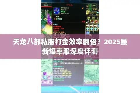 天龙八部私服打金效率翻倍？2025最新爆率服深度评测