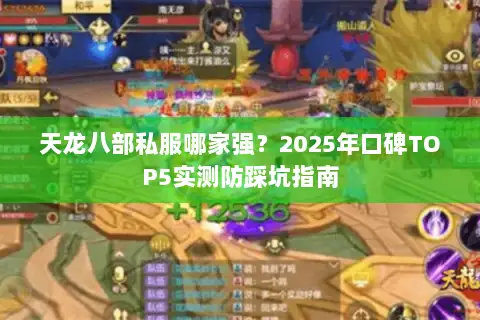 天龙八部私服哪家强？2025年口碑TOP5实测防踩坑指南
