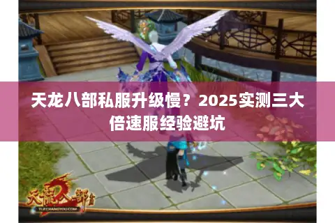 天龙八部私服升级慢？2025实测三大倍速服经验避坑
