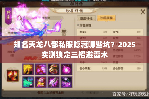 知名天龙八部私服隐藏哪些坑？2025实测锁定三招避雷术