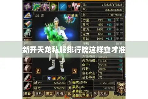 新开天龙私服排行榜这样查才准